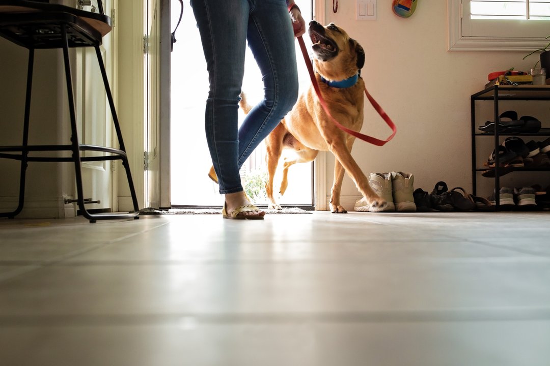 iStock-1493006898